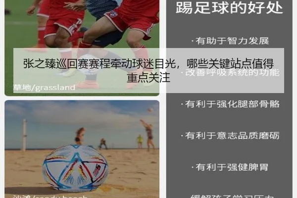 张之臻巡回赛赛程牵动球迷目光，哪些关键站点值得重点关注