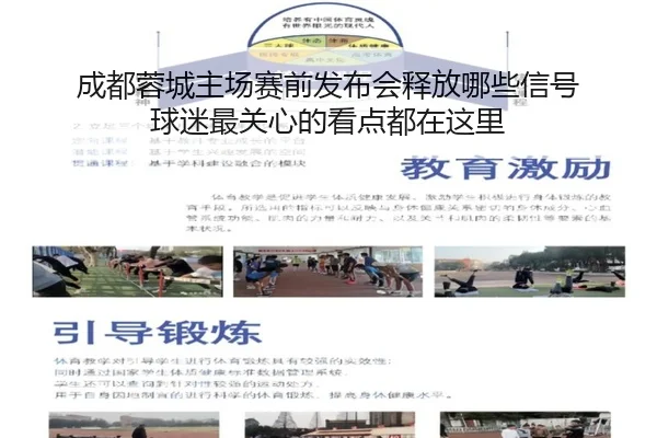 img_1781847424791_44_1_441.jpg